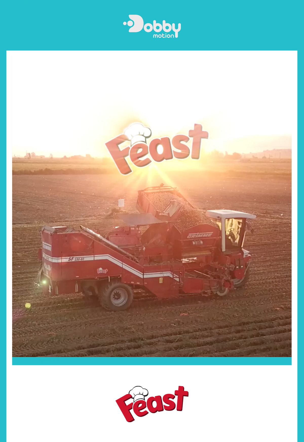 FEAST HASAT BELGESELİ