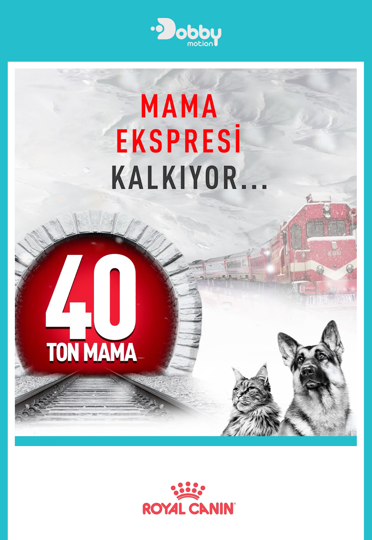 ROYAL CANIN MAMA EKSPRESİ